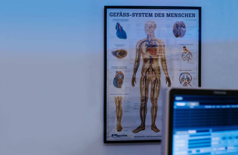 In einem abgedunkelten Sonografieraum hängt ein grafisches Poster über die Gefässysteme des Menschen
