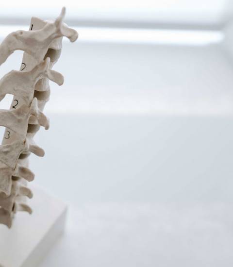 Chiropraktiker/Chirotherapie