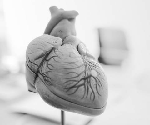 Dr. Martina Lukas, eine Frau in weißem Arztkittel, eine Spezialistin der Kardiologie
