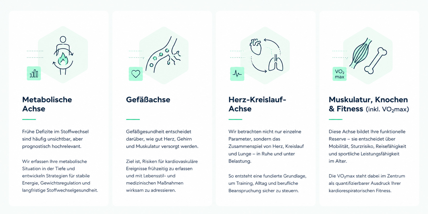 Die vier Longevity-Achsen